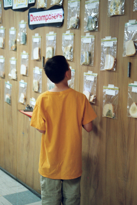 Boy looking at wall of moldy bread hanging in plastic bags with the title of 'decomposition'