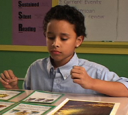 student looking at food web cards